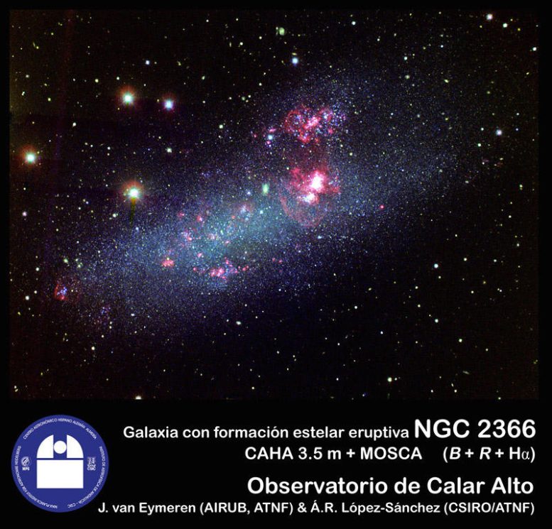 NGC 2366 - Galactic Mysteries Unraveled: Dwarf Galaxies Revealed As Unexpected Star-Forming Powerhouses