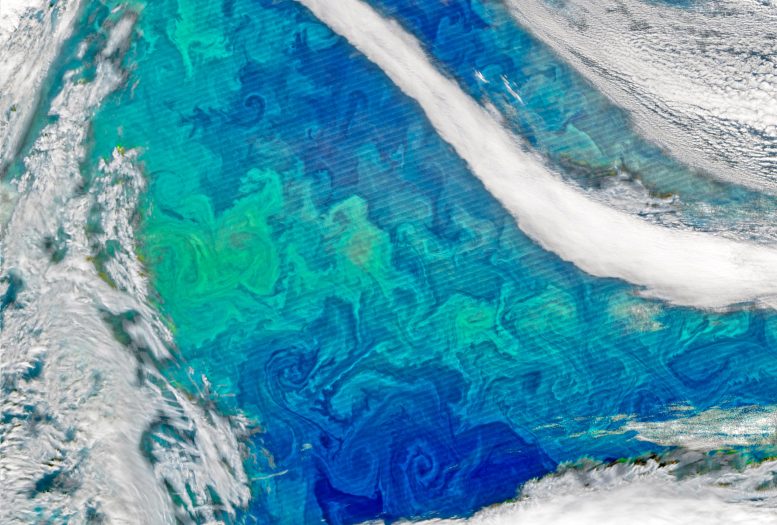 North Atlantic Phytoplankton Bloom - Frozen Time Capsule: 800-Year-Old Ice Core Reveals Surprising Truths About Ocean Life