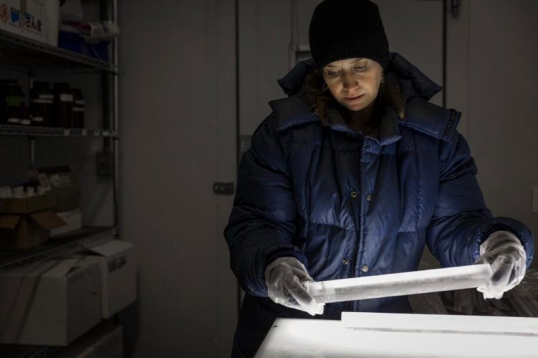 Becky Alexander Greenland Ice Core - Frozen Time Capsule: 800-Year-Old Ice Core Reveals Surprising Truths About Ocean Life