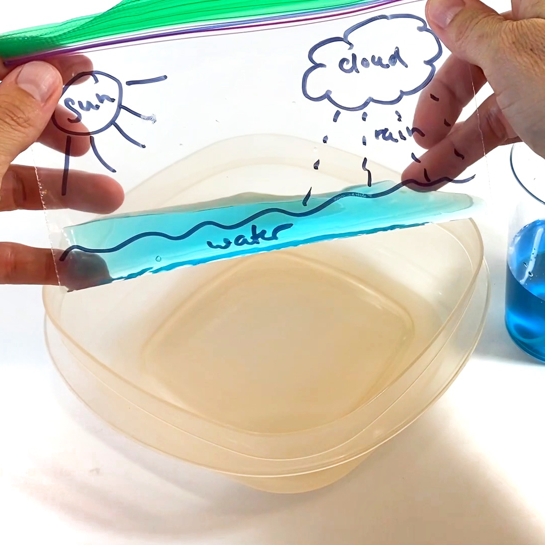 Model Water Cycle in a Bag - STEM Calendar For Educators: Month By Month STEM Projects