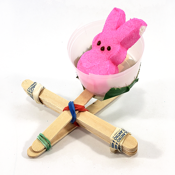 Peeps candy in a popsicle stick catapult for Easter celebration - STEM Calendar For Educators: Month By Month STEM Projects