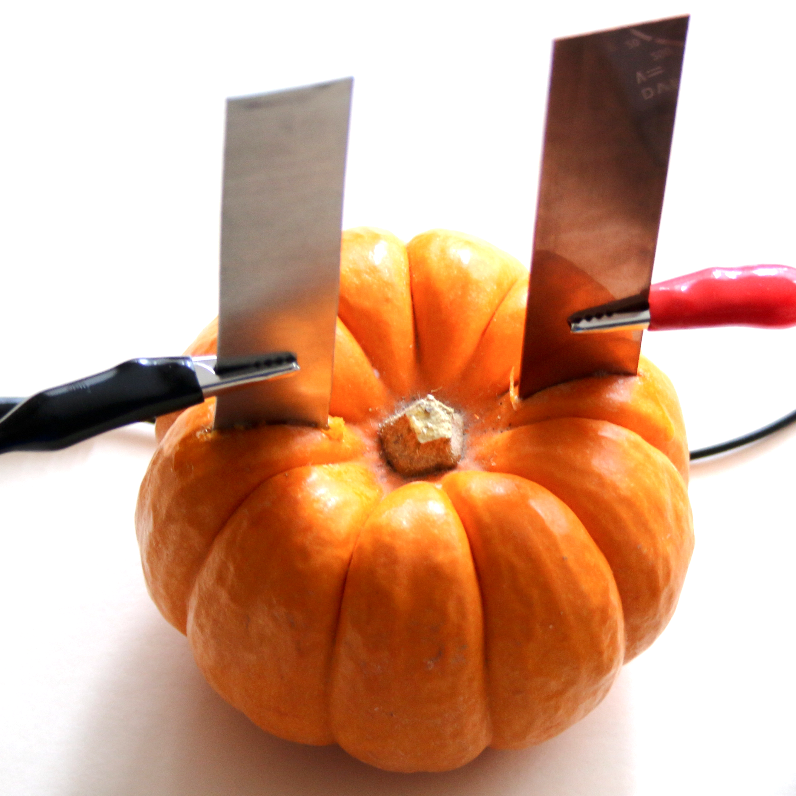 Pumpkin Power experiment for Halloween - STEM Calendar For Educators: Month By Month STEM Projects
