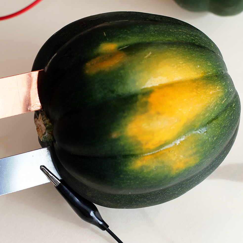Squash Power Experiment for Thanksgiving - STEM Calendar For Educators: Month By Month STEM Projects