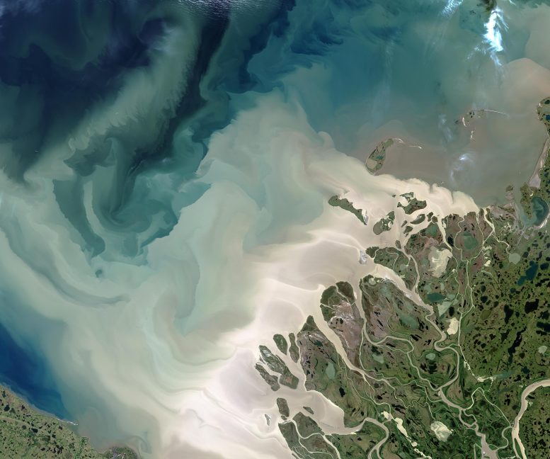 Sediment From Canada’s Mackenzie River - Arctic Anomaly: Scientific Exploration Of Unexpected Carbon Emissions