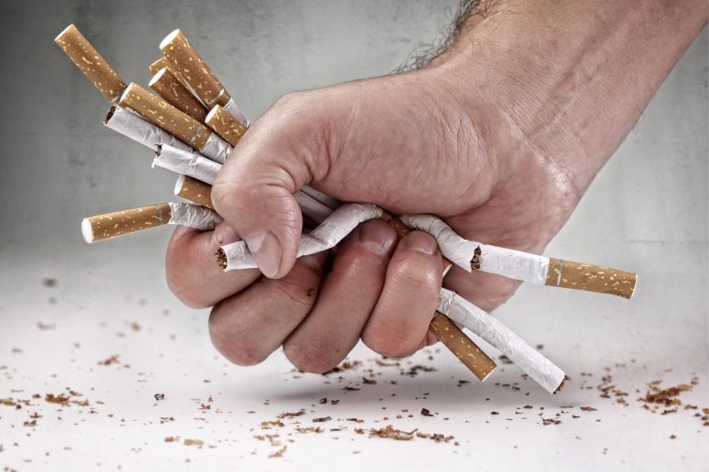 Quit Smoking Cigarettes Concept - Breaking The Habit: Researchers Identify Most Effective Stop-Smoking Aids