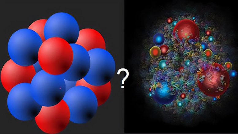 Nuclear and Quark Matter - Quantum Vortex Reveal: The Distinct Dance Of Quark And Nucleon Liquids