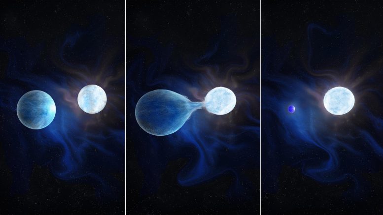 Binary Stars Evolving - Pioneering Discovery Of Binary Stripped Stars Unlocks Cosmic Secrets