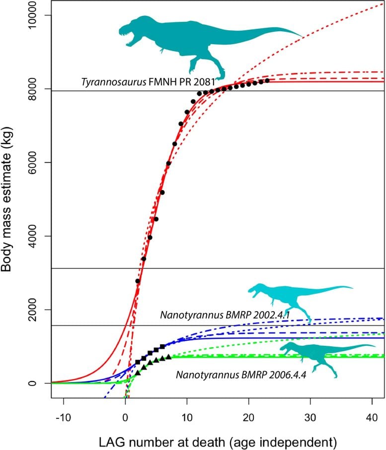 T. rex vs Nanotyrannus Growth Curve Comparison - Paleontology Plot Twist: New Research Shows Nanotyrannus Is Separate Species, Not “Juvenile T. Rex”