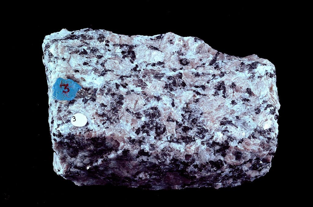 Biotite-Hornblende granite from St. Cloud, Minnesota. Credit: GeoDIL. - Granite Geology: How Granite Forms, Minerals, And Composition