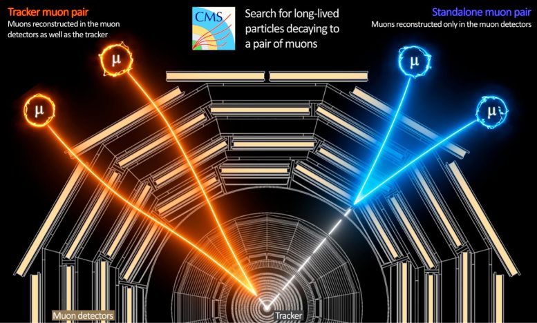 CERN Latest Search for New Exotic Particles CMS Collaboration - The Mysterious World Of Dark Photons: Trailblazing Particle Hunt With The Large Hadron Collider
