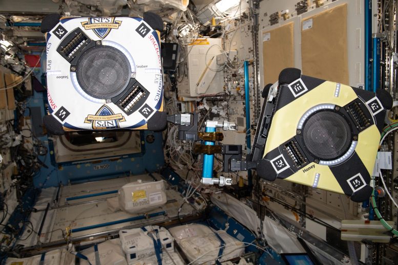 Two Astrobee Free-Flying Robotic Assistants - DNA Decoding And Robot Rendezvous: The Latest Scientific Innovation On The Space Station