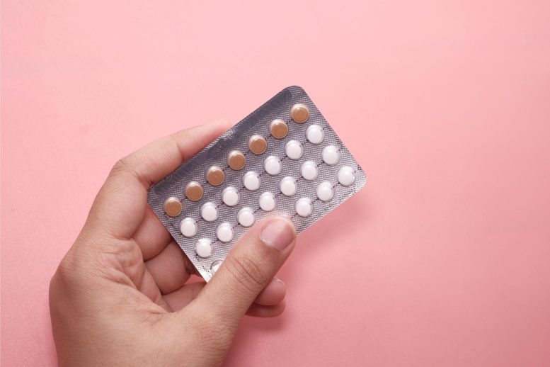 Birth Control Pills - How The Pill Alters Brain Anatomy: Scientists Discover Potential New Side Effect Of Birth Control Pills