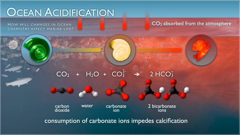 Ocean Acidification - Marine Chemistry Gone Awry: The Doubling Acidity Of Antarctic Ecosystems