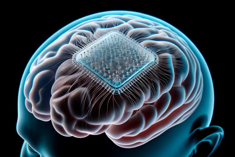 Transparent Brain Implant - Revolutionary Transparent Implant Unveils Deep Brain Secrets From The Surface