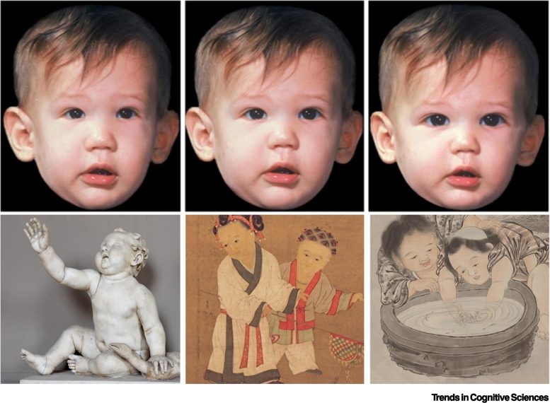 Juvenility in Baby Faces and in Historical Artwork - Unlocking Minds Of The Past: How “Cognitive Fossils” Reveal Ancient Psychologies