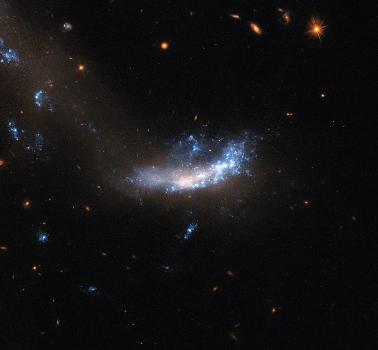 Galaxy UGC 5189A - Gone But Not Forgotten: A Supernova 2.5 Billion Times Brighter Than The Sun
