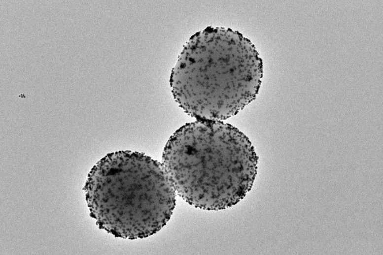 Nanorobots Transmission Electron Microscopy Image - Fantastic Voyage: Cancer Tumors Reduced By 90% Using Nanorobots