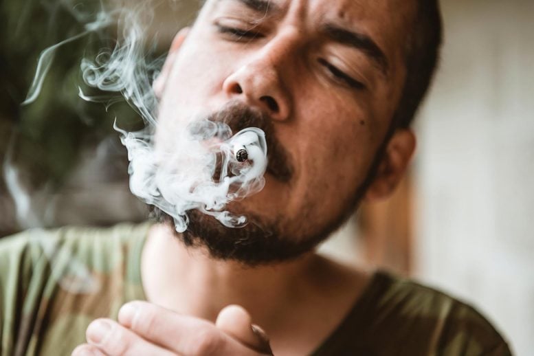 Smoking Marijuana Joint - New Research: Smoking Marijuana And Cigarettes Linked To Increased Lung Damage