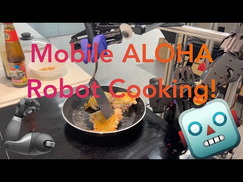 YouTube video - Cheap Robo-chef Autonomously Cooks A Three-course Asian Menu, Cleans Up After Itself