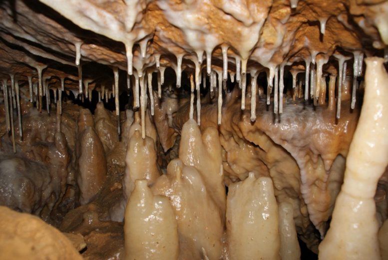 Kleine Teufelshöhle Stalagmites - Unlocking Climate Secrets: Stalagmites Provide Unique Climate Archive
