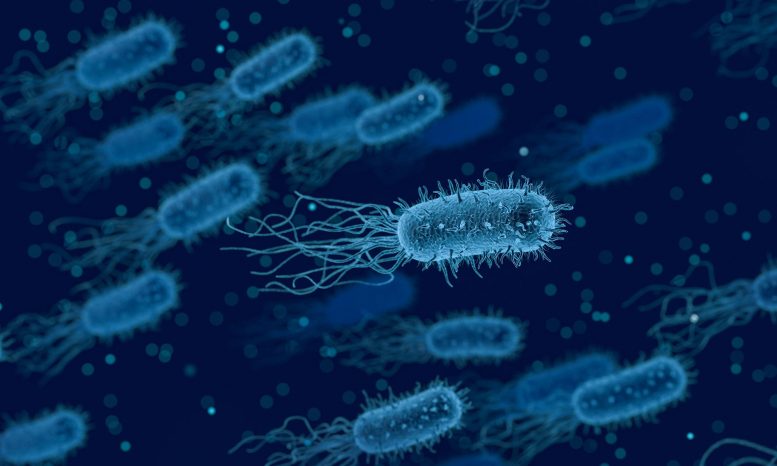 Bacteria - Challenging The Traditional View – Researchers Uncover New Factors In Antibiotic Resistance