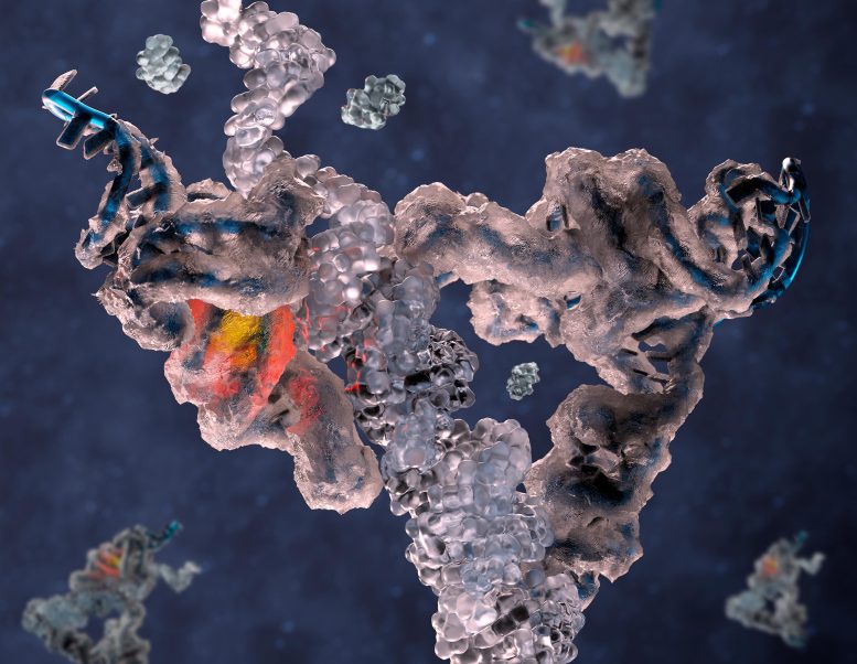 Atomic Structure of RNA Polymerase Ribozyme Origin of Life - Chilling Discovery: Cryo-EM Uncovers Ancient Molecular Machine Of Life