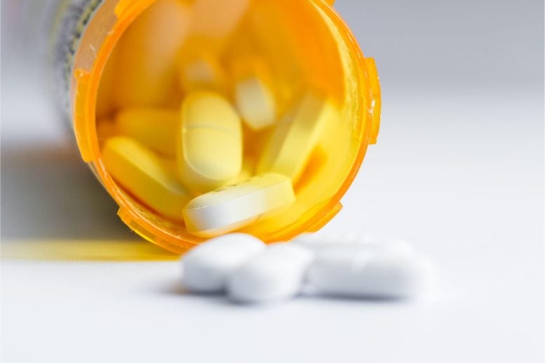 Prescription Bottle Medicine Drugs Opioids - New Research Challenges The Commonly Held View That Opioids Are The Most Powerful Pain Relievers