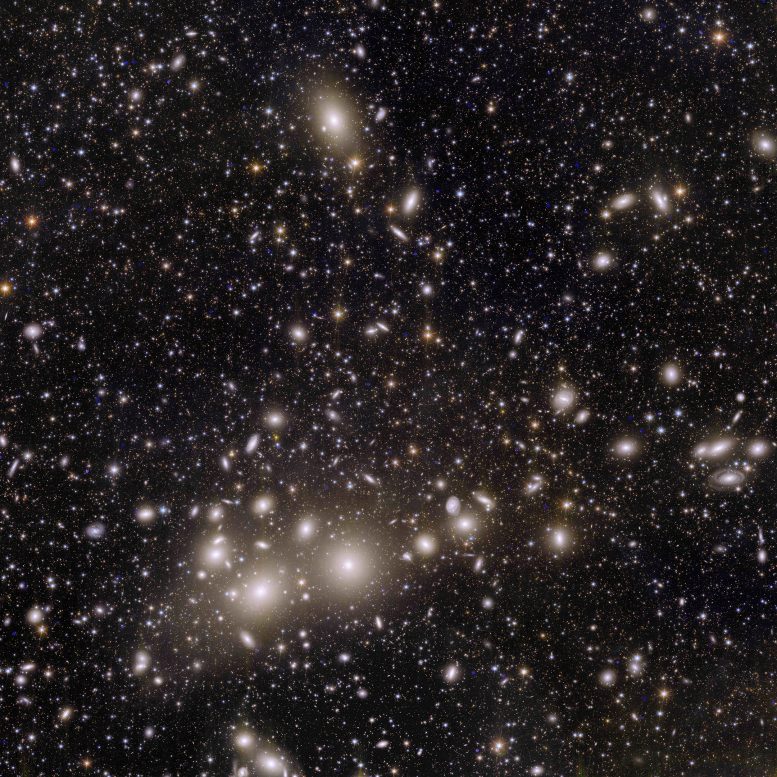 Euclid Perseus Cluster of Galaxies - Exposing Dark Matter: Euclid Is On The Trail Of The Dark Side Of The Universe