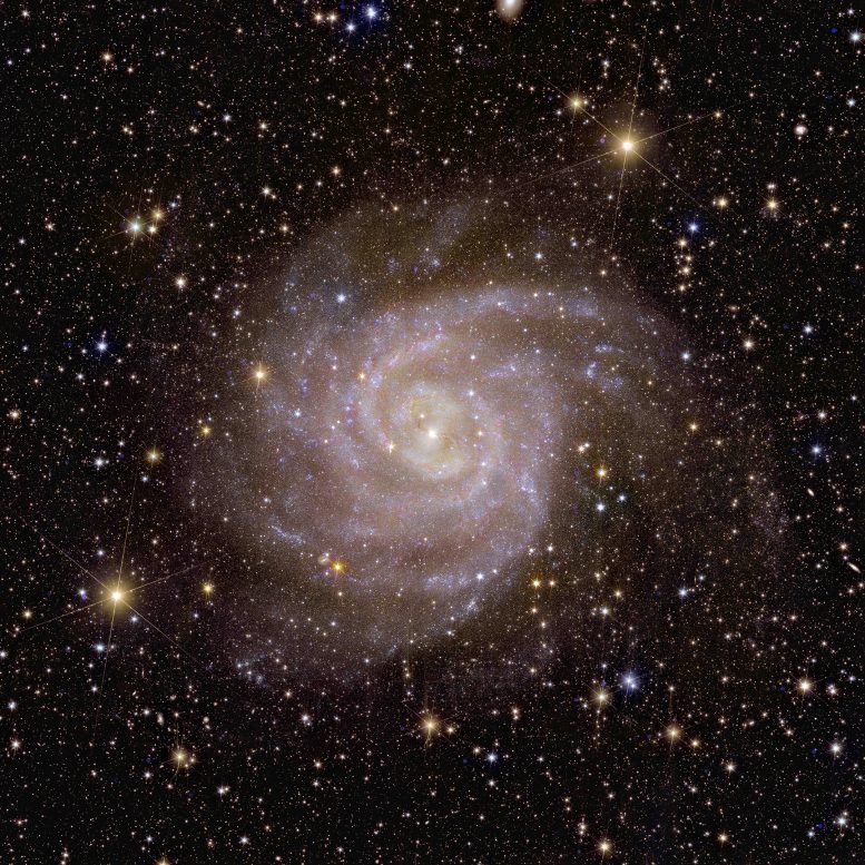 Euclid Spiral Galaxy IC 342 - Exposing Dark Matter: Euclid Is On The Trail Of The Dark Side Of The Universe