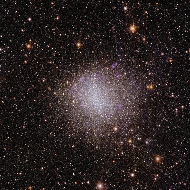 Euclid Irregular Galaxy NGC 6822 - Exposing Dark Matter: Euclid Is On The Trail Of The Dark Side Of The Universe