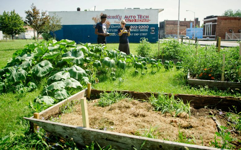 Urban Garden in Detroit - Green Menace? Study Finds Food From Urban Agriculture Has 6x Larger Carbon Footprint