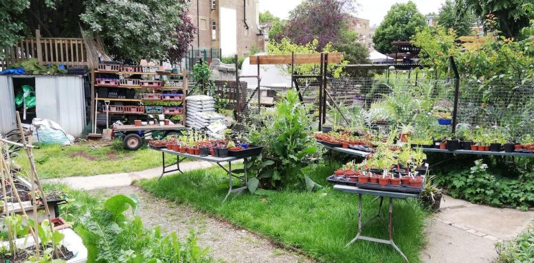Collective Garden in London, England - Green Menace? Study Finds Food From Urban Agriculture Has 6x Larger Carbon Footprint