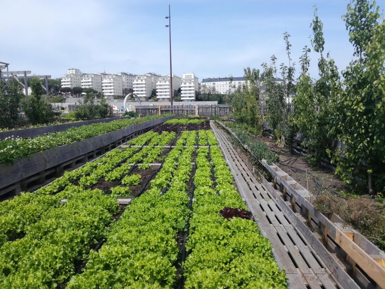 Urban Garden in Nantes, France - Green Menace? Study Finds Food From Urban Agriculture Has 6x Larger Carbon Footprint
