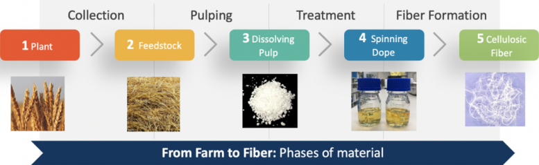 Simplified Process Steps for Converting Non Wood Feedstocks to Textile Fibers - The Future Of Fashion: Waste Is The New Cotton