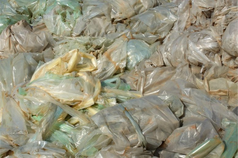 Polyethylene Films - New Recycling Method Could Make Polyethylene Waste A Thing Of The Past