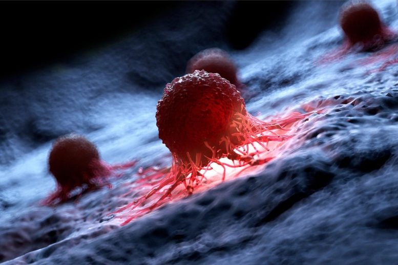 Human Cancer Cell Illustration - New Hybrid Treatment Forces Cancer Cells To Starve