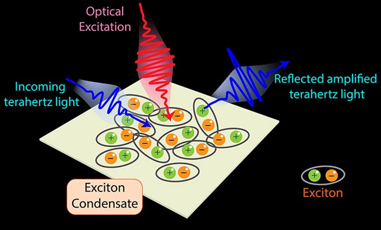 Improved Technique To Study TNS Exciton Condensates - Shadows And Light: Discovering The Hidden Depths Of Quantum Materials