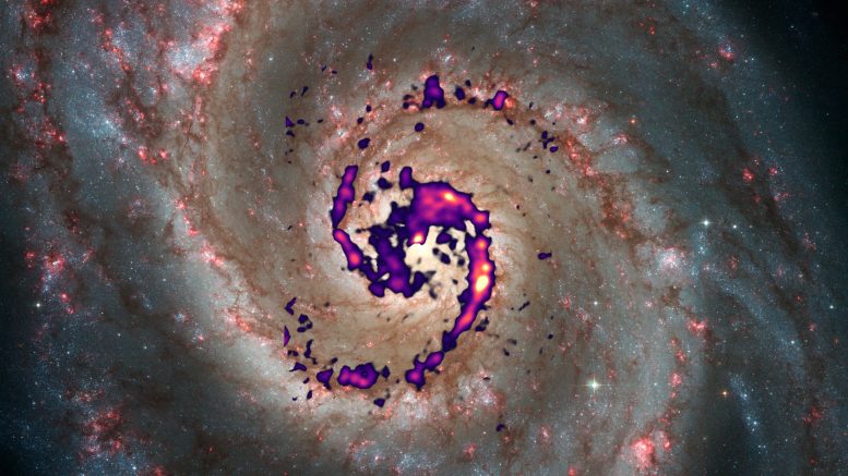 Diazenylium Molecule Radiation Distribution in Whirlpool Galaxy - Unraveling The Mysteries Of Star Creation In The Whirlpool Galaxy