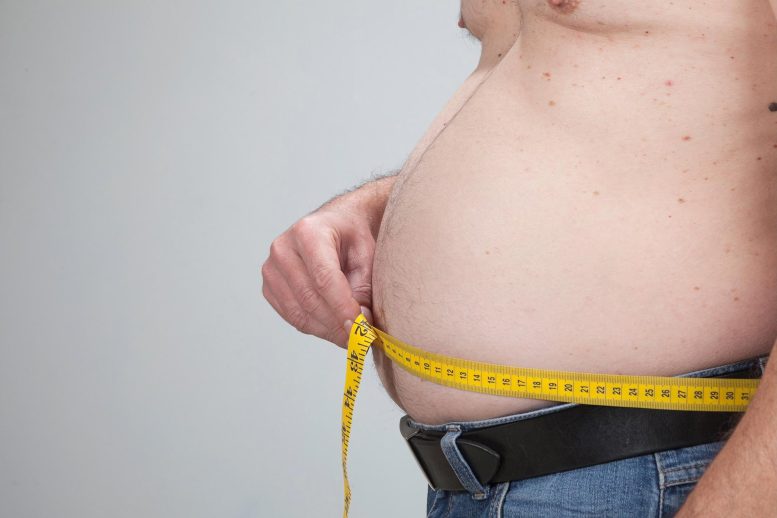 Obese Man Fat Belly - Timing Is Everything: Obesity Alters Daily Energy Burning, Study Reveals