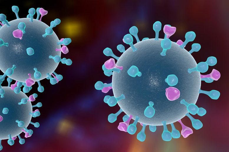 Influenza Viruses Illustration - Scientists Discover New Class Of Antibodies That Could Neutralize The Flu Virus