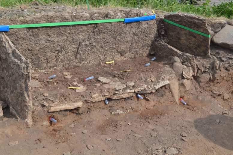Excavation of an Early Dolmem, Falbygden - Missing Skulls And A 5500-Year-Old Grave – Scientists Investigate Neolithic Mysteries