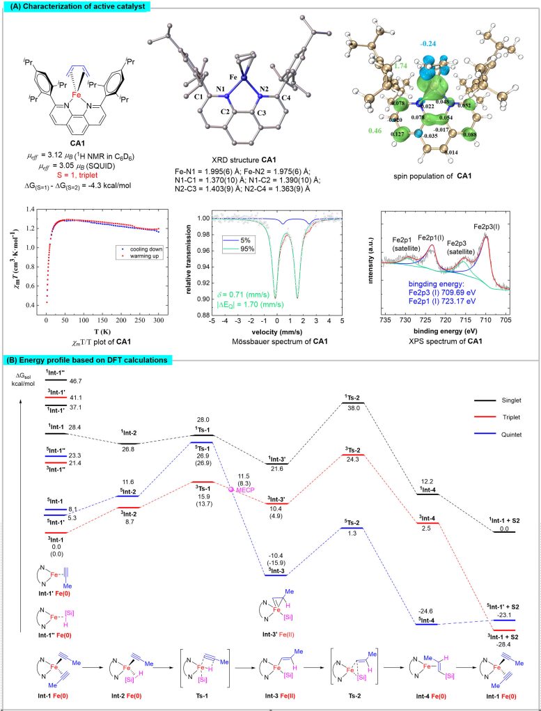 Synthesis and Characterization of Active Intermediates and Theoretical Calculation of the Reaction - Spin State Secrets: Unlocking The Mysteries Of Open-Shell Catalysts