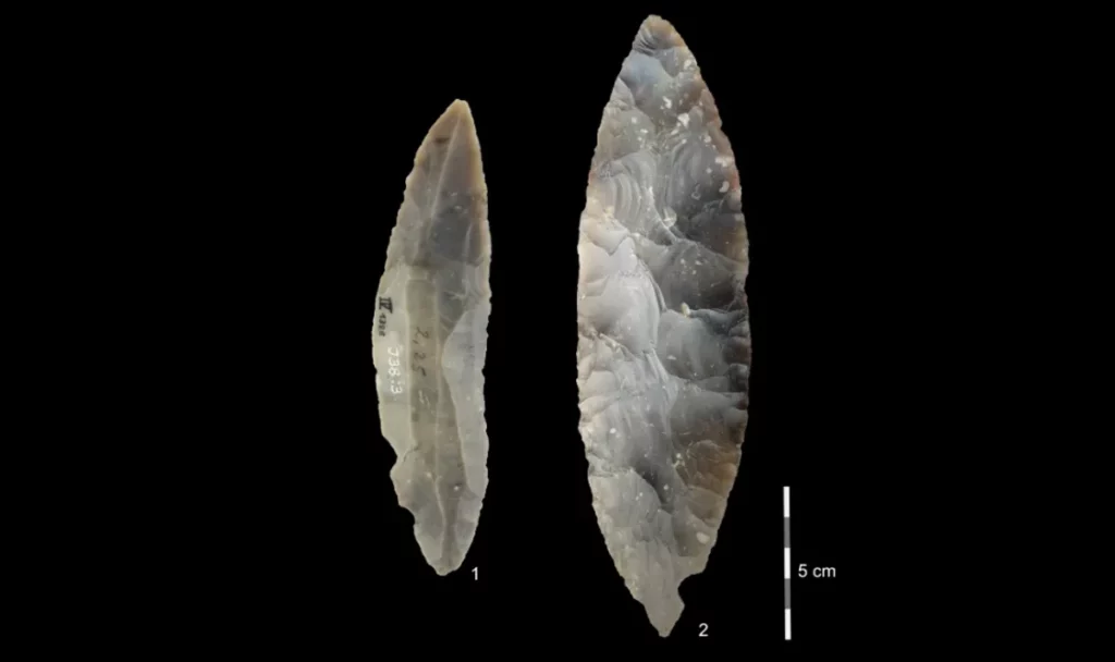 Stone tools from the LRJ at Ranis 1) partial bifacial blade point characteristic of the LRJ; 2) at Ranis the LRJ also contains finely made bifacial leaf points.
Credit: Josephine Schubert, Museum Burg Ranis - How A German Cave Is Rewriting The Story Of How Early Humans And Neanderthals First Clashed