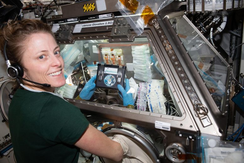 NASA Astronaut Loral O’Hara Treats Brain Cell-Like Samples - Cygnus Orbits Toward Space Station As Crews Conduct Biomedical Science And Physics Research