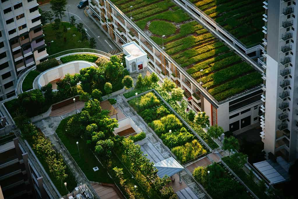 The Last Ingredient To Make Green Roofs Truly Great: Fungi
