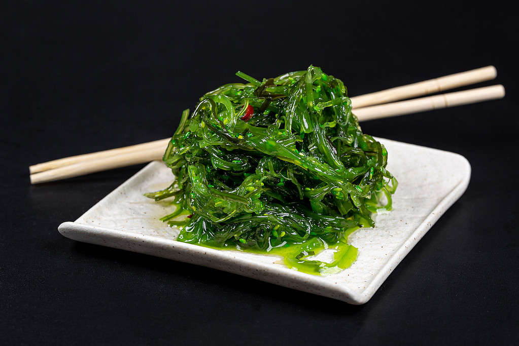 seaweed edible - If A Nuclear War Happened, Seaweed Could Save The Last Survivors