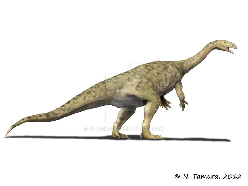 Artist - 10 Triassic Dinosaurs You Should Know's reconstruction of Sellosaurus