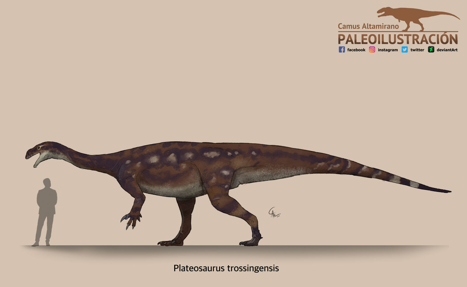 Artist - 10 Triassic Dinosaurs You Should Know's reconstruction of Plateosaurus