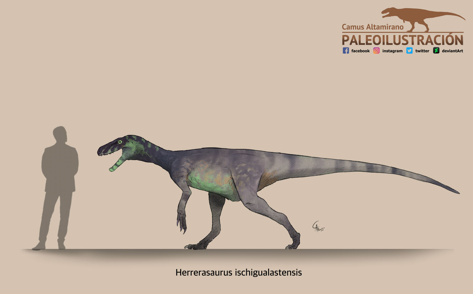 Artist - 10 Triassic Dinosaurs You Should Know's reconstruction of Herrerasaurus