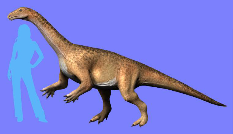 Riojasaurus - human size comparison, - 10 Triassic Dinosaurs You Should Know